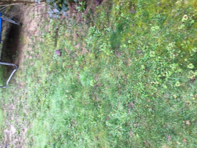 82375AA9-122D-4118-BBCD-939665479FB5.jpeg