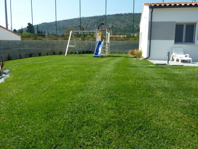 P1070366.JPG