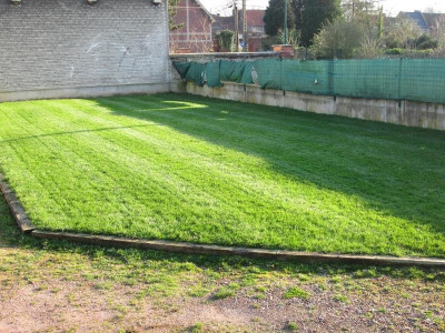 mini_IMG_5174.JPG