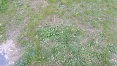 20200321_180502.jpg