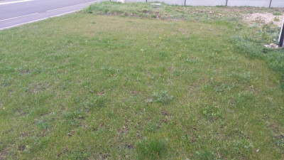 20200321_181756.jpg