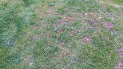 20200321_180520.jpg