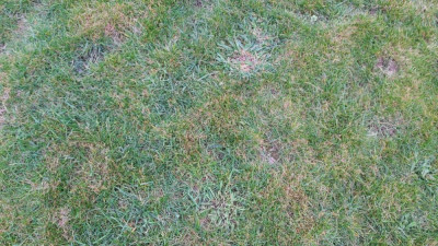 20200321_180529.jpg
