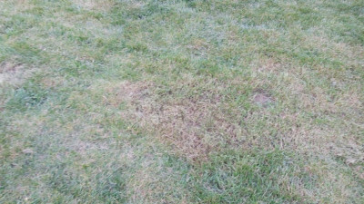 20200321_180508.jpg