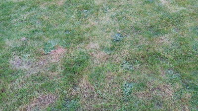 20200321_180515.jpg