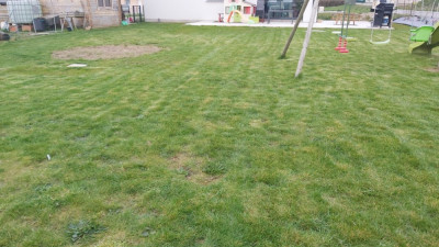 20200321_180711.jpg