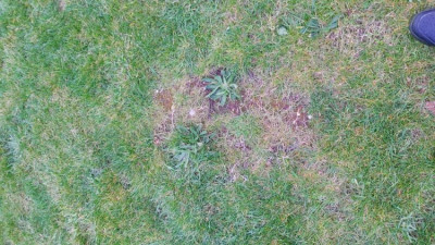 20200321_180539.jpg