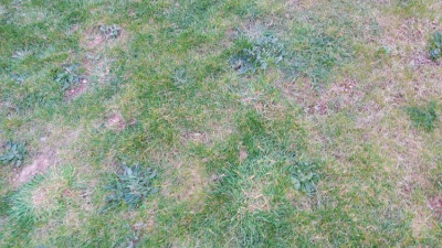 20200321_180546.jpg