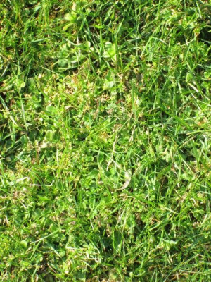 mini_IMG_5191.JPG