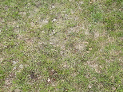 20200329_133221.jpg