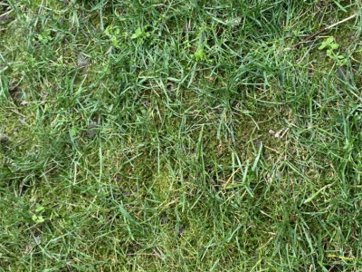 IMG_8287.jpeg