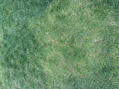 IMG_8291.jpeg