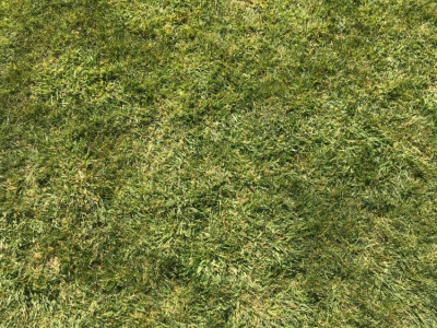6295C3DF-F2D4-44D1-9138-F1A534103AE9.jpeg