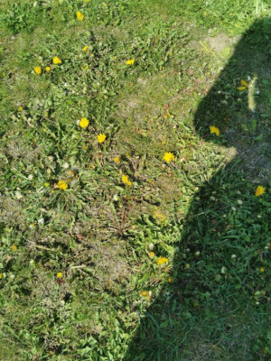 IMG_20200409_142025.jpg