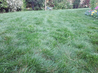 20200409_192113.jpg