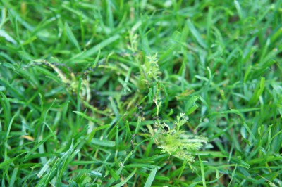 DSC05917.JPG