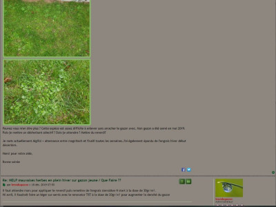 Mauvaises herbes.jpg
