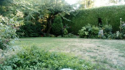 Jardin avant arrivée.JPG