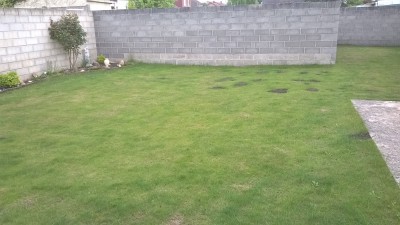 WP_20160510_001[1].jpg