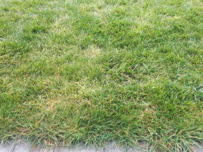 20200422_150740.jpg
