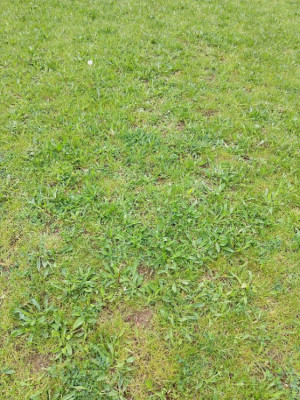 IMG_20200423_122601187_HDR.jpg
