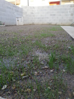 IMG_20200424_200110.jpg
