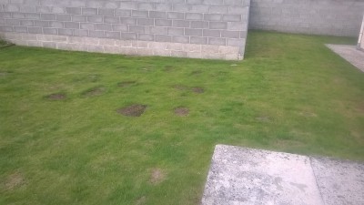 WP_20160514_002.jpg