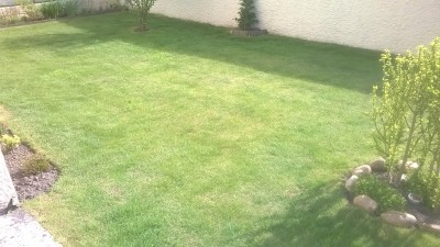 WP_20160514_008.jpg