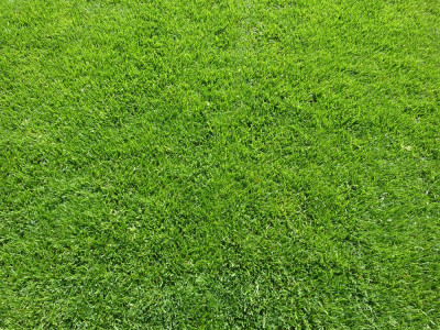 P1070383.JPG