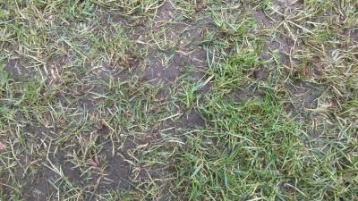 20160515_133646.jpg