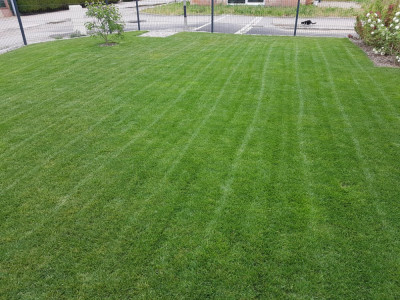 20200502_135647.jpg