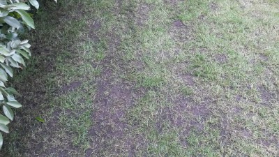 20160515_153352.jpg