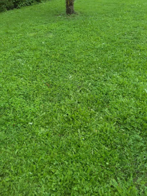 IMG_20200503_193403.jpg