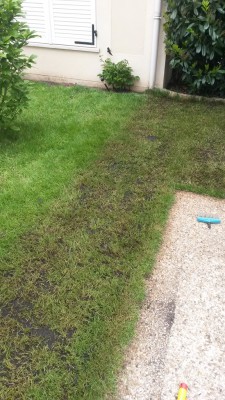 20160515_160429.jpg