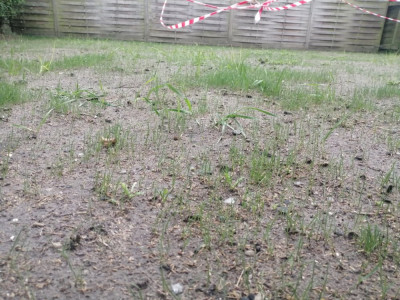 IMG_20200510_194540.jpg