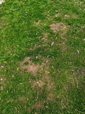 IMG_20200513_111941.jpg