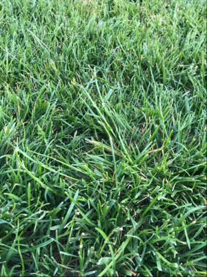 Photo-3.jpg