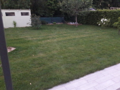 20200520_214456.jpg