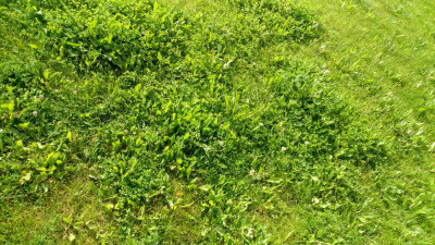 IMG_20200521_100654_HDR.jpg