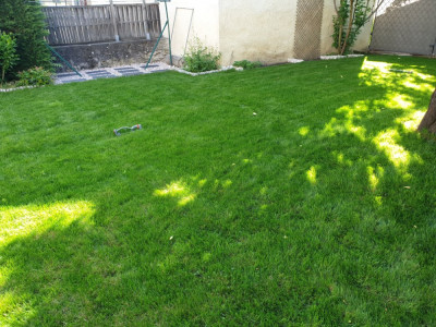 20200508_093027.jpg