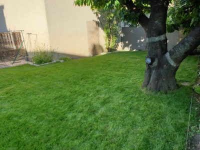 20200524_193025.jpg