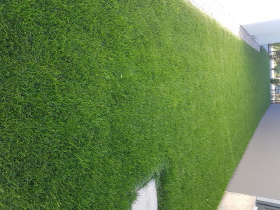 20200526_182006.jpg