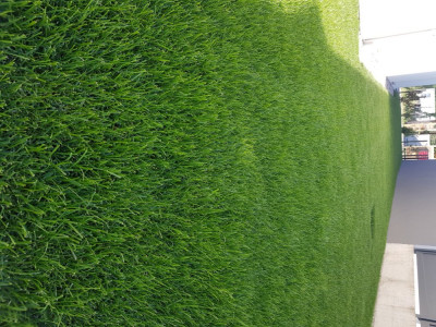 20200526_182001.jpg