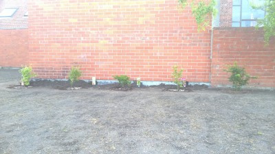 WP_20160519_003.jpg