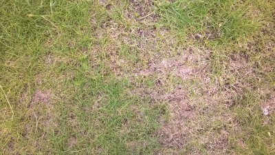 WP_20160521_001.jpg