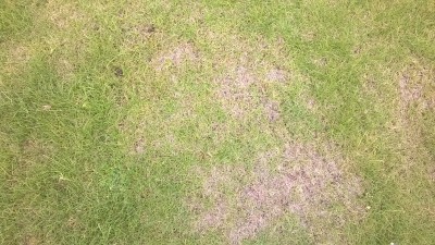 WP_20160521_002.jpg
