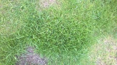 WP_20160521_008.jpg