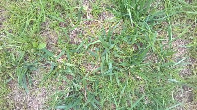 WP_20160521_021.jpg
