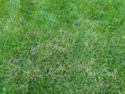 20200530_193231.jpg