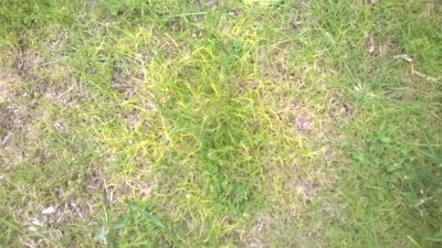 WP_20160521_022.jpg